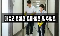 매트리스청소 소파청소 입주청소