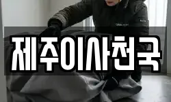 제주이사천국
