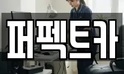 퍼펙트카