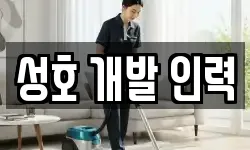 성호 개발 인력