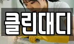 클린대디