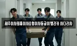 제주이사원룸이사소형이사동글이엘리카 사다리차