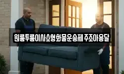 원룸투룸이사소형화물운송제주조아용달
