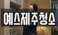 예스제주청소