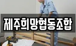 제주희망협동조합