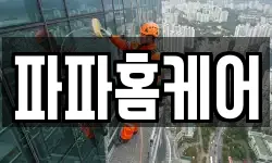 파파홈케어