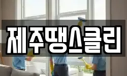 제주땡스클린