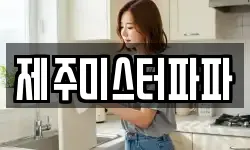제주미스터파파
