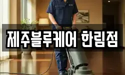 제주블루케어 한림점