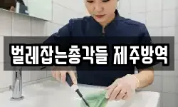 벌레잡는총각들 제주방역