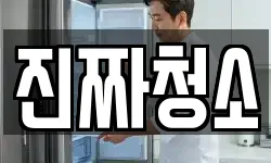 진짜청소