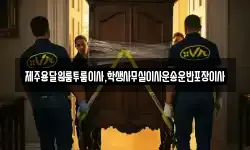 제주용달원룸투룸이사,학생사무실이사운송운반포장이사