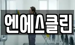 엔에스클린
