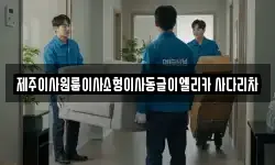 제주이사원룸이사소형이사동글이엘리카 사다리차
