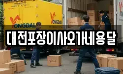 대전포장이사오가네용달