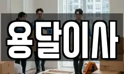 용달이사
