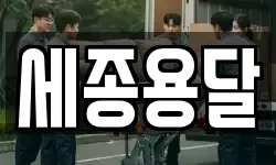 세종용달