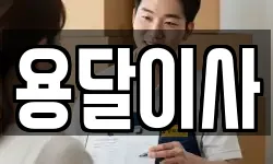 용달이사