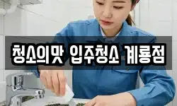 청소의맛 입주청소 계룡점