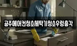충남 공주시 청소,입주청소,사무실청소,에어컨청소
