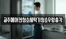 공주에어컨청소세탁기청소우렁총각