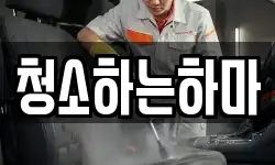 청소하는하마