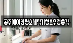 충남 공주시 무릉동 청소,입주청소,사무실청소,에어컨청소