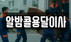알밤콜용달이사