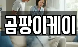 충남 공주시 봉황동 청소,입주청소,사무실청소,에어컨청소