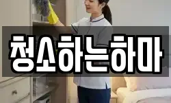청소하는하마
