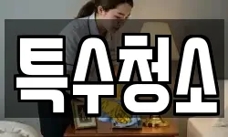 특수청소