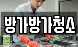 방가방가청소