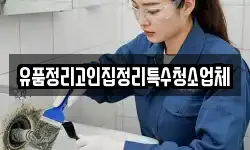 충남 공주시 석장리동 청소,입주청소,사무실청소,에어컨청소