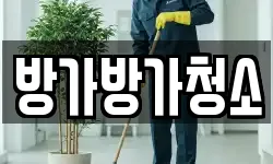 방가방가청소