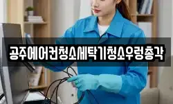 충남 공주시 신관동 청소,입주청소,사무실청소,에어컨청소