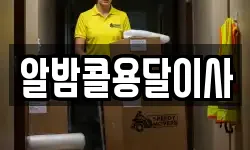 알밤콜용달이사