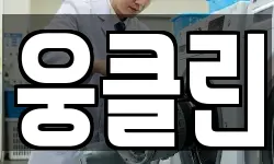 웅클린