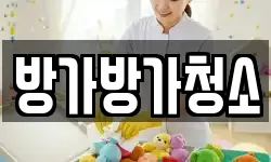 방가방가청소