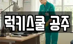 럭키스쿨 공주