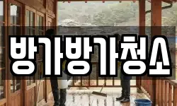 방가방가청소