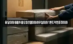 충남 공주시 옥룡동 이사,용달이사,포장이사,원룸이사,보관이사