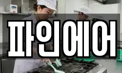 파인에어