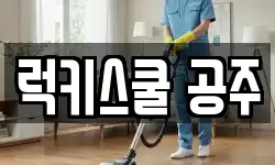 럭키스쿨 공주