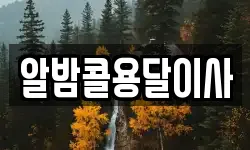알밤콜용달이사
