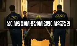봄이사원룸이사포장이사일반이사유품정리