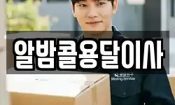 알밤콜용달이사
