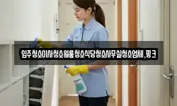 입주청소이사청소원룸청소식당청소사무실청소업체,핑크
