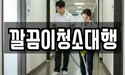 깔끔이청소대행