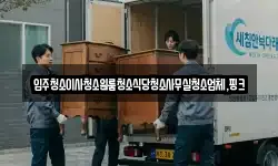 입주청소이사청소원룸청소식당청소사무실청소업체,핑크