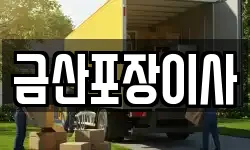 금산포장이사